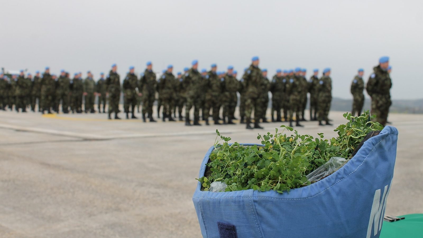 42nd Infantry Group on Shamrock Parade Lebanon